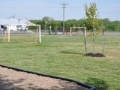 SoccerPracticeNets